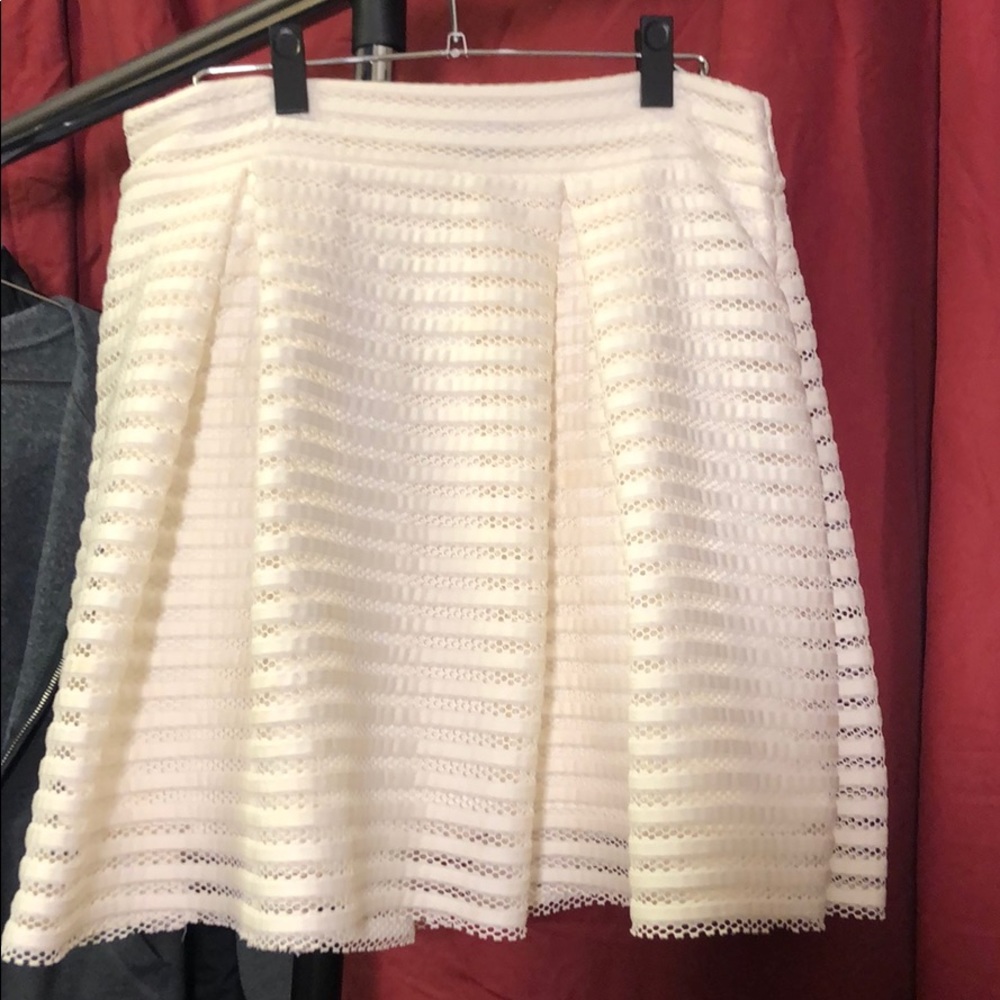 Express skirt